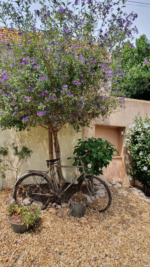 Gites "Tout Au Sud De La France" Pomerols Luaran gambar