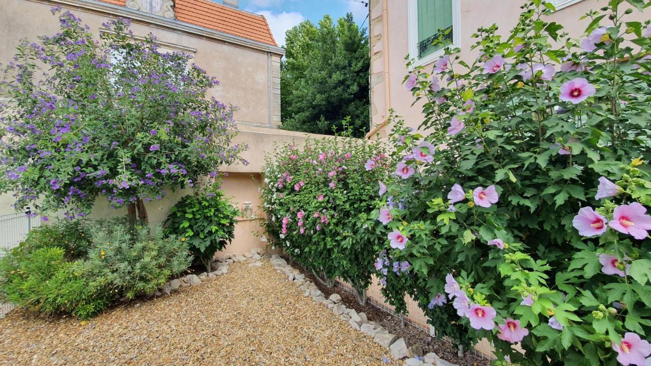 Gites "Tout Au Sud De La France" Pomerols Luaran gambar