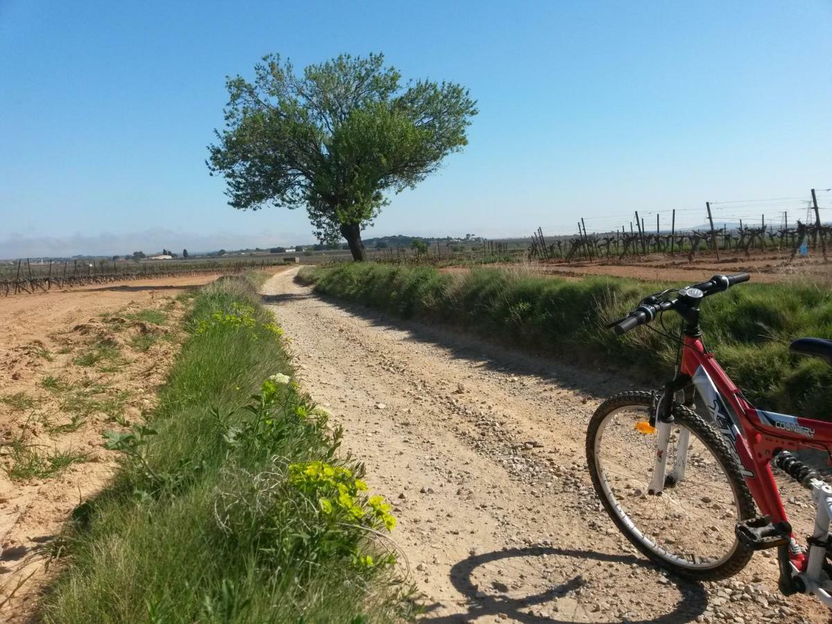 Gites "Tout Au Sud De La France" Pomerols Luaran gambar
